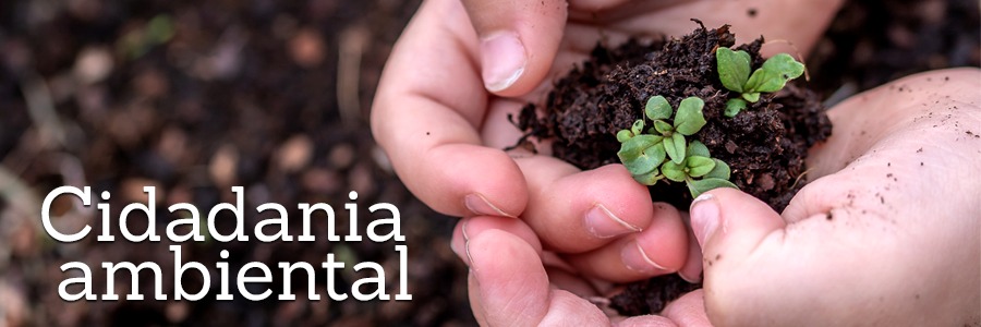 Duas mãos juntas, segurando uma muda de planta pequena e verde, com terra